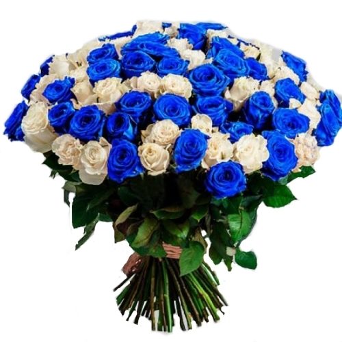 Фото товара 101 біла та синя троянда (фарбована) в Ужгороде