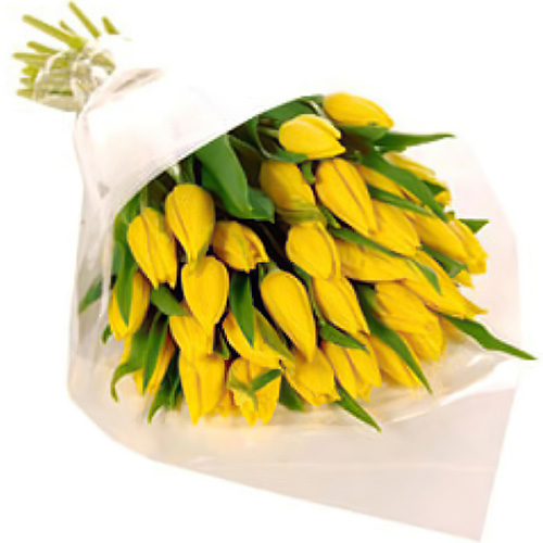Фото товара 25 желтых тюльпанов в Ужгороде