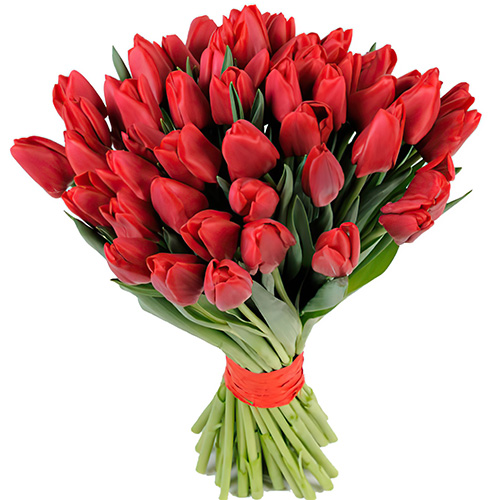 Фото товара 51 красный тюльпан в Ужгороде