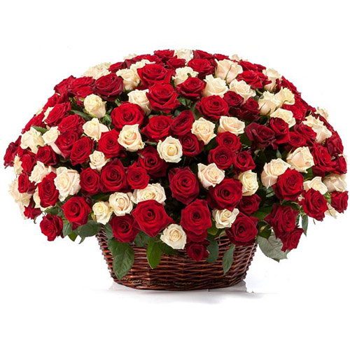 Фото товара 101 троянда мікс у кошику в Ужгороде