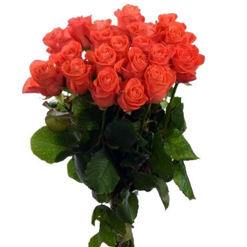 Фото товара 21 троянда "Вау" в Ужгороде