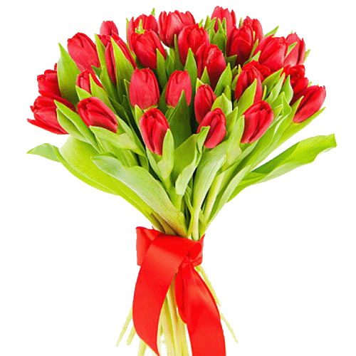 Фото товара 25 червоних тюльпанів в Ужгороде