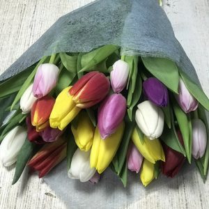 Фото букета 25 різнокольорових тюльпанів