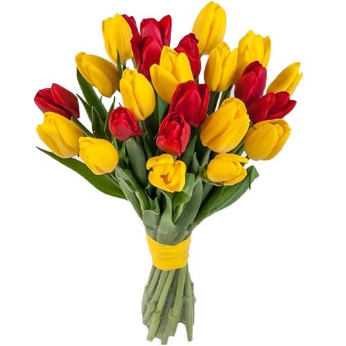 Фото товара 15 червоно-жовтих тюльпанів (зі стрічкою) в Ужгороде