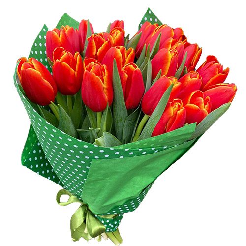 Фото товара 21 тюльпан "Маковый цвет" в Ужгороде
