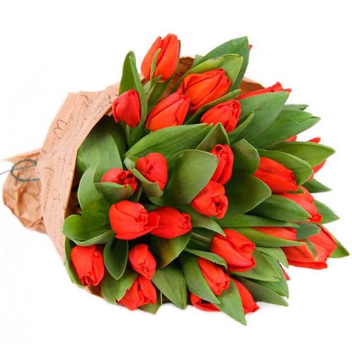 Фото товара 35 червоних тюльпанів у "газеті" в Ужгороде