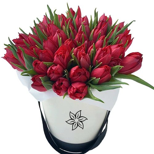Фото товара 45 червоних тюльпанів у коробці в Ужгороде
