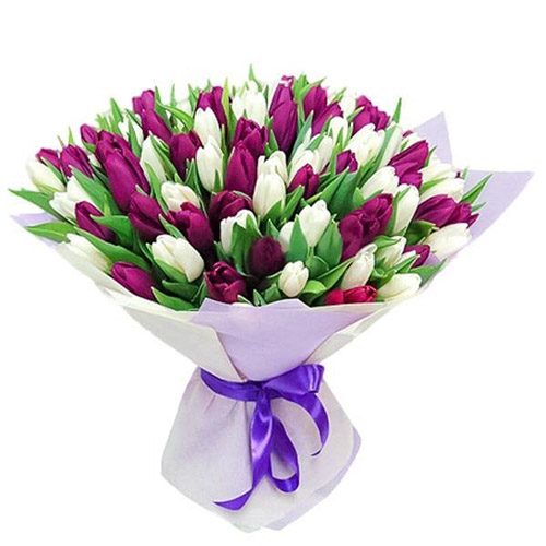 Фото товара 75 пурпурно-белых тюльпанов в Ужгороде