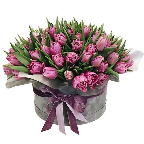 Фото товара 101 пурпурный тюльпан в коробке в Ужгороде
