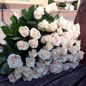 букет 33 кремовые розы фото