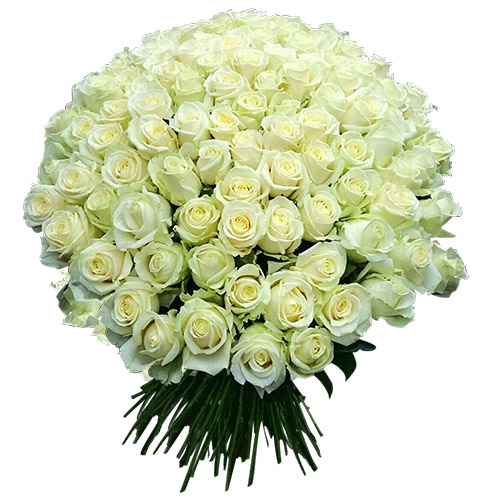 Фото товара 101 біла троянда в Ужгороде