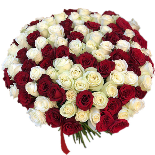 Фото товара 101 красная и белая роза в Ужгороде
