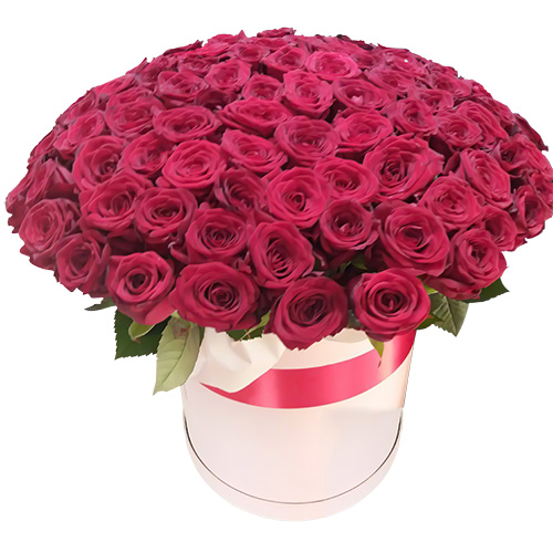 Фото товара 101 роза красная в шляпной коробке в Ужгороде