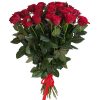 Фото товара Букет троянд - 51 кремова в Ужгороде