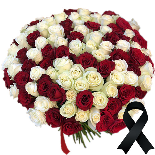 Фото товара 100 красно-белых роз в Ужгороде