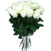 Фото товара 25 белых роз в Ужгороде