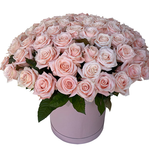Фото товара 101 розовая роза в коробке в Ужгороде