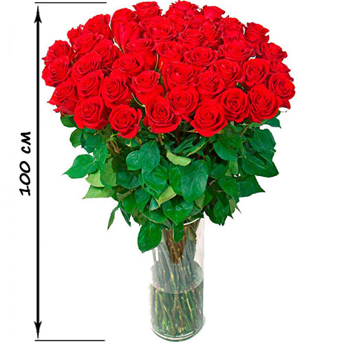 Фото товара 35 високих троянд (100 см) в Ужгороде