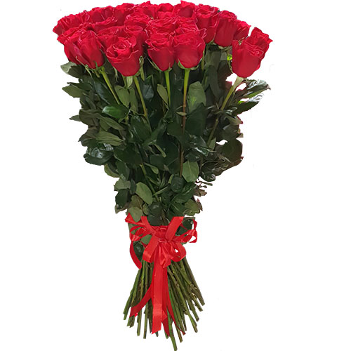 Фото товара 25 метровых роз "Фридом" в Ужгороде