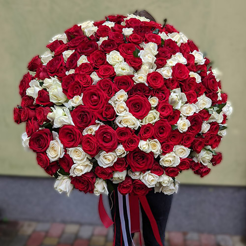 Огромный букет из 201 красной и белой розы фото