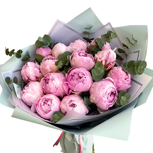 Фото товара 15 светло-розовых пионов с зеленью в Ужгороде