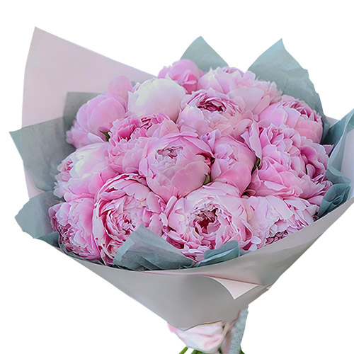 Фото товара 19 розовых пионов в Ужгороде