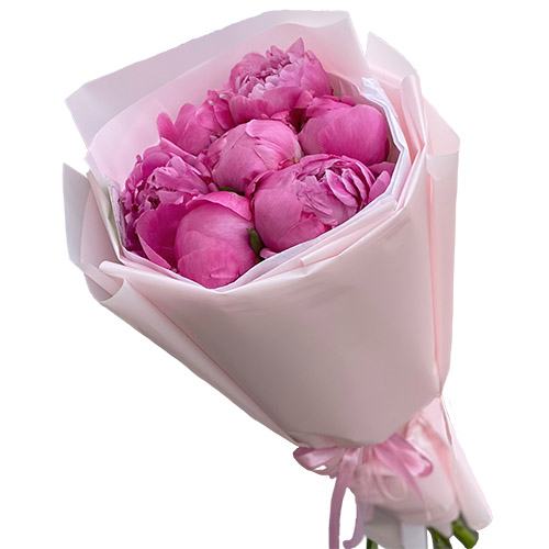 Фото товара 7 розовых пионов в Ужгороде