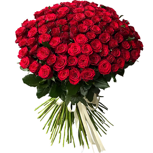 Фото товара 101 роза красная в Ужгороде