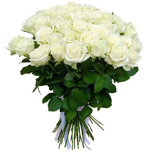 Фото товара 51 роза белая в Ужгороде