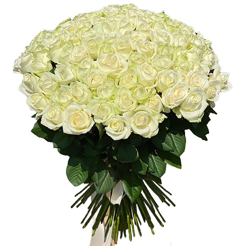 Фото товара 101 роза белая в Ужгороде