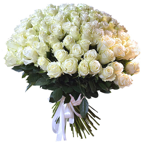 Фото товара 101 белая импортная роза в Ужгороде