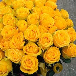 желтые розы фото