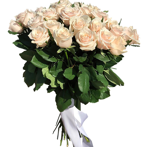 Фото товара Букет из 33 кремовых роз в Ужгороде